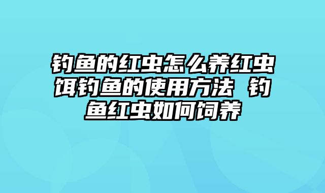 钓鱼的红虫怎么养红虫饵钓鱼的使用方法 钓鱼红虫如何饲养