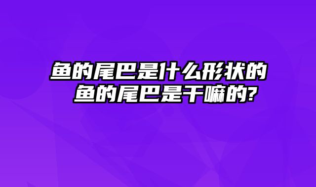 鱼的尾巴是什么形状的 鱼的尾巴是干嘛的?