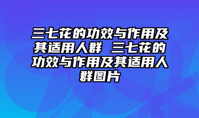 三七花的功效与作用及其适用人群 三七花的功效与作用及其适用人群图片