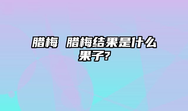腊梅 腊梅结果是什么果子?