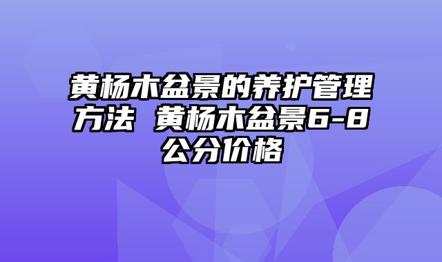 黄杨木盆景的养护管理方法 黄杨木盆景6-8公分价格