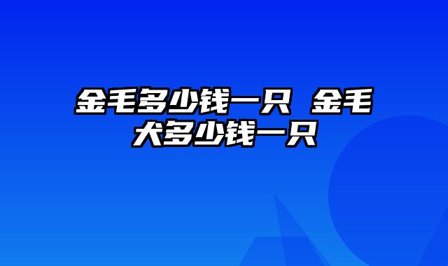金毛多少钱一只 金毛犬多少钱一只