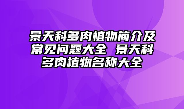 景天科多肉植物简介及常见问题大全 景天科多肉植物名称大全
