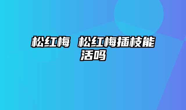 松红梅 松红梅插枝能活吗