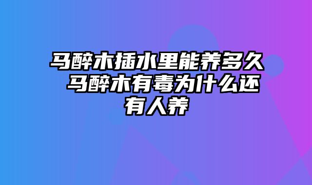 马醉木插水里能养多久 马醉木有毒为什么还有人养