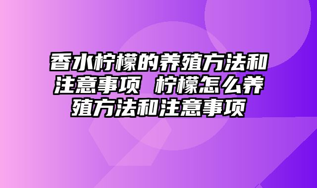 香水柠檬的养殖方法和注意事项 柠檬怎么养殖方法和注意事项