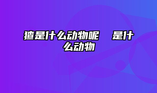 猹是什么动物呢 煋是什么动物