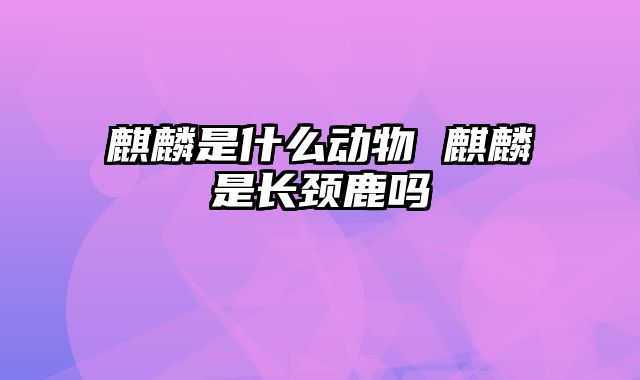 麒麟是什么动物 麒麟是长颈鹿吗