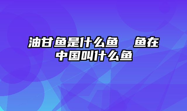 油甘鱼是什么鱼 鰤鱼在中国叫什么鱼