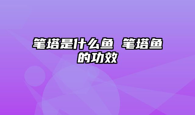 笔塔是什么鱼 笔塔鱼的功效