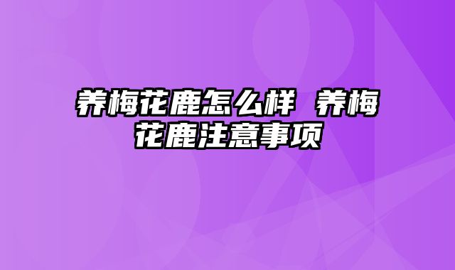 养梅花鹿怎么样 养梅花鹿注意事项