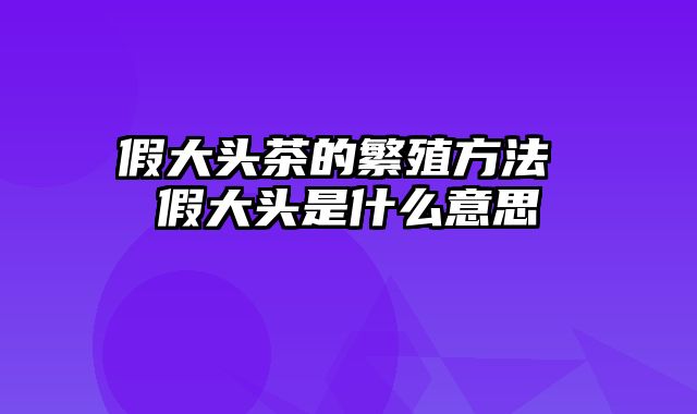 假大头茶的繁殖方法 假大头是什么意思
