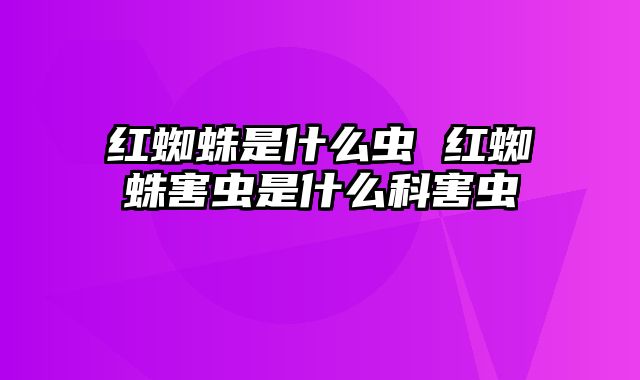 红蜘蛛是什么虫 红蜘蛛害虫是什么科害虫
