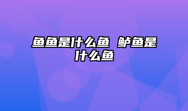 鱼鱼是什么鱼 鲈鱼是什么鱼