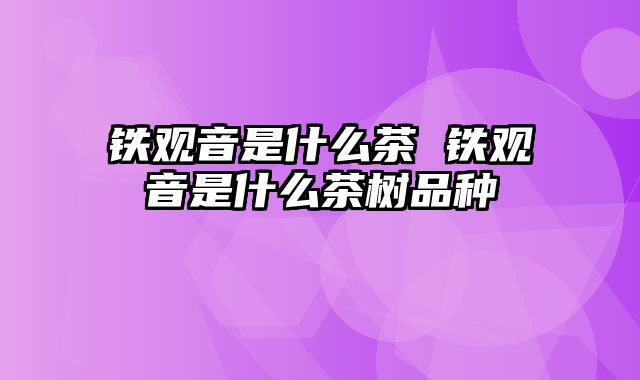 铁观音是什么茶 铁观音是什么茶树品种