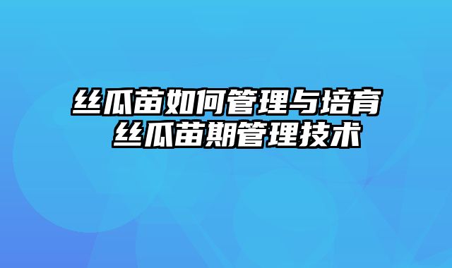 丝瓜苗如何管理与培育 丝瓜苗期管理技术