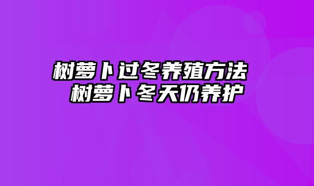 树萝卜过冬养殖方法 树萝卜冬天仍养护