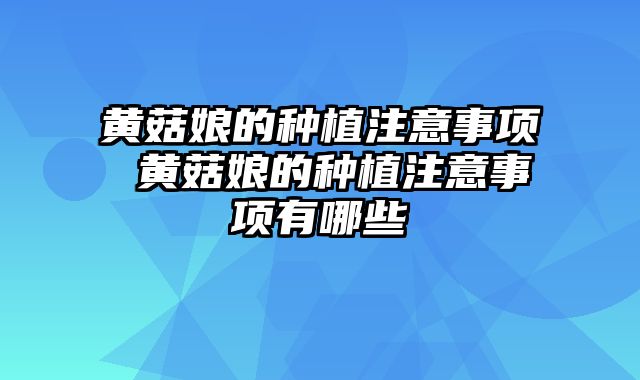 黄菇娘的种植注意事项 黄菇娘的种植注意事项有哪些