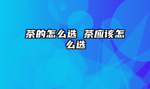 茶的怎么选 茶应该怎么选