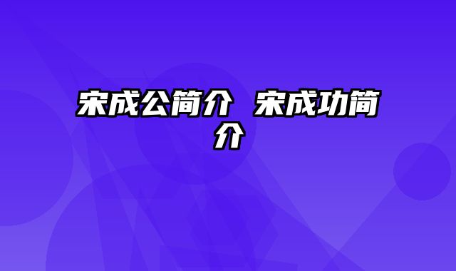 宋成公简介 宋成功简介