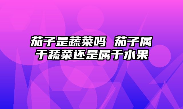 茄子是蔬菜吗 茄子属于蔬菜还是属于水果