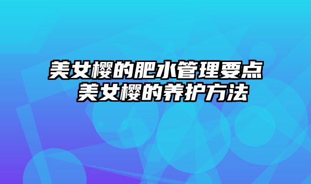 美女樱的肥水管理要点 美女樱的养护方法