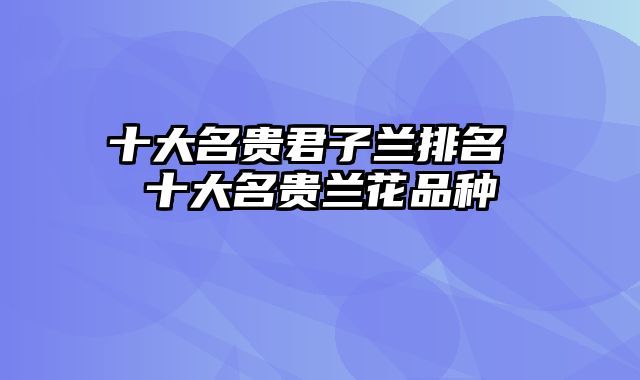 十大名贵君子兰排名 十大名贵兰花品种