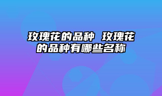 玫瑰花的品种 玫瑰花的品种有哪些名称