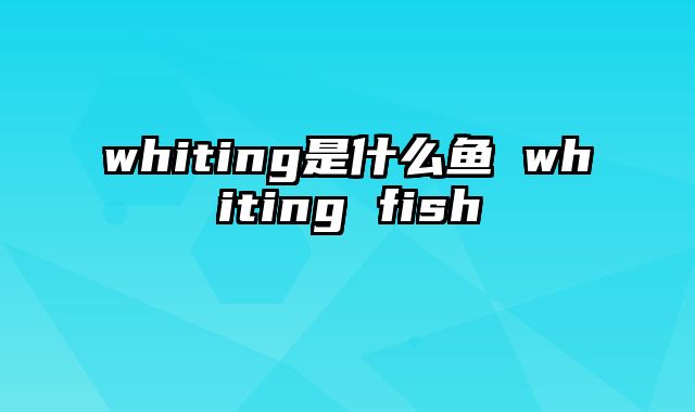 whiting是什么鱼 whiting fish