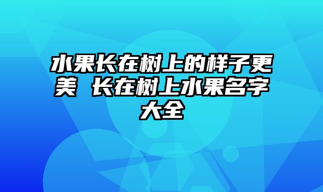 水果长在树上的样子更美 长在树上水果名字大全