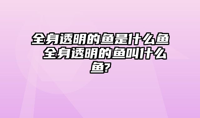 全身透明的鱼是什么鱼 全身透明的鱼叫什么鱼?