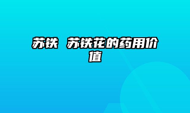 苏铁 苏铁花的药用价值