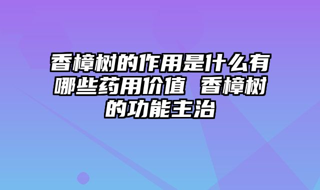 香樟树的作用是什么有哪些药用价值 香樟树的功能主治