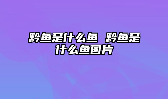 黔鱼是什么鱼 黔鱼是什么鱼图片