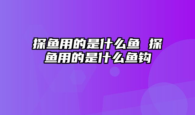 探鱼用的是什么鱼 探鱼用的是什么鱼钩