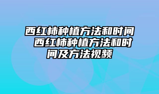 西红柿种植方法和时间 西红柿种植方法和时间及方法视频