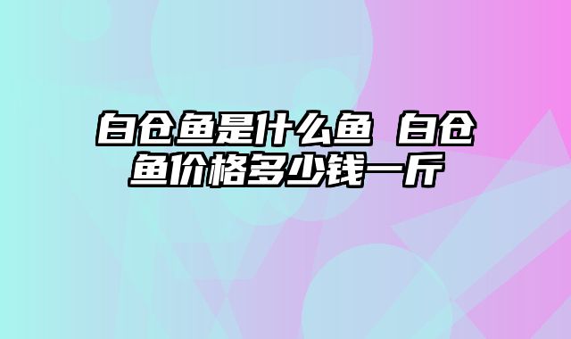 白仓鱼是什么鱼 白仓鱼价格多少钱一斤