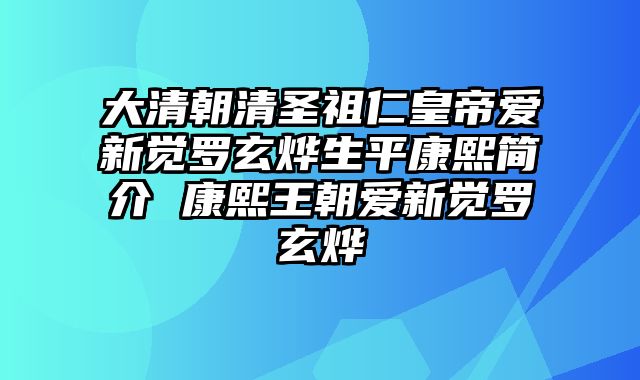 大清朝清圣祖仁皇帝爱新觉罗玄烨生平康熙简介 康熙王朝爱新觉罗玄烨