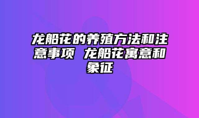 龙船花的养殖方法和注意事项 龙船花寓意和象征