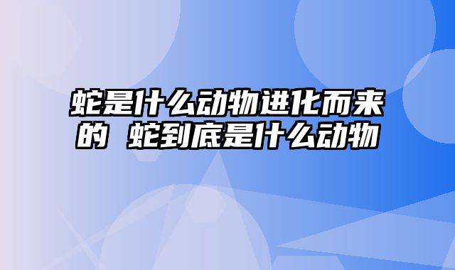 蛇是什么动物进化而来的 蛇到底是什么动物