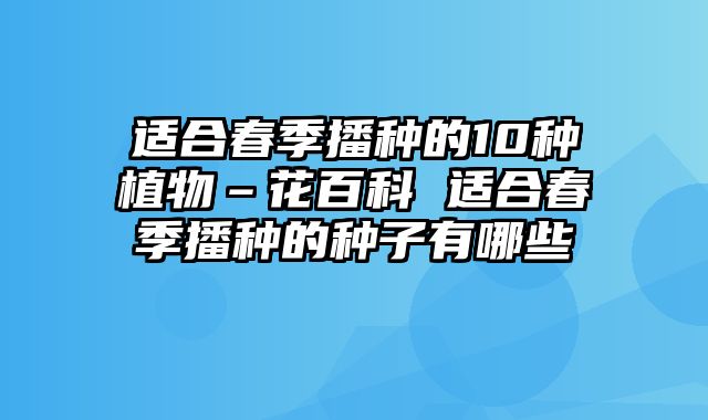 适合春季播种的10种植物–花百科 适合春季播种的种子有哪些