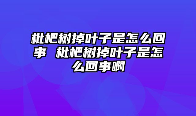 枇杷树掉叶子是怎么回事 枇杷树掉叶子是怎么回事啊