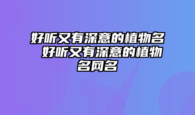 好听又有深意的植物名 好听又有深意的植物名网名