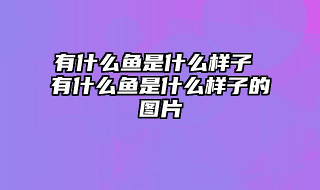 有什么鱼是什么样子 有什么鱼是什么样子的图片