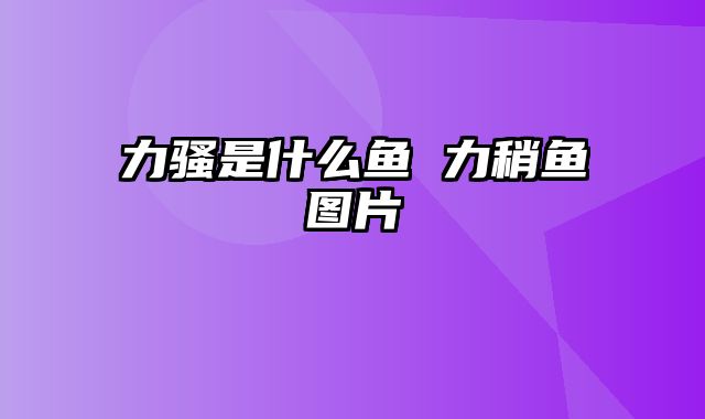 力骚是什么鱼 力稍鱼图片