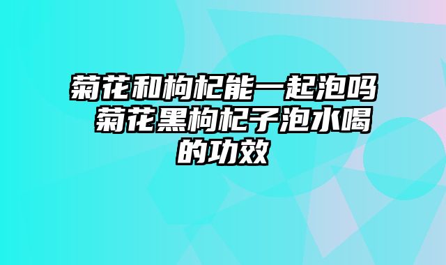 菊花和枸杞能一起泡吗 菊花黑枸杞子泡水喝的功效