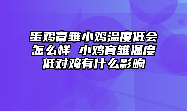 蛋鸡育雏小鸡温度低会怎么样 小鸡育雏温度低对鸡有什么影响