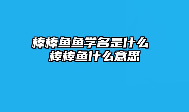 棒棒鱼鱼学名是什么 棒棒鱼什么意思