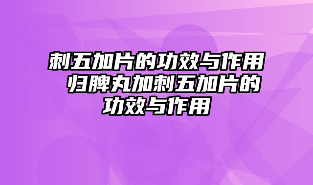 刺五加片的功效与作用 归脾丸加刺五加片的功效与作用
