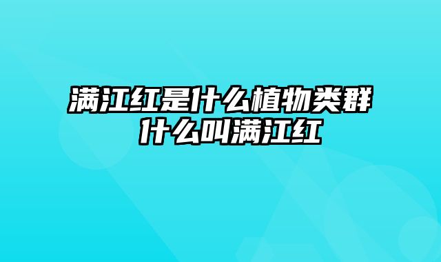 满江红是什么植物类群 什么叫满江红